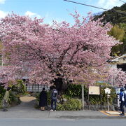 写真撮るなら道を隔てた場所から