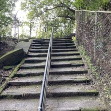 階段④ ぼちぼちか～？