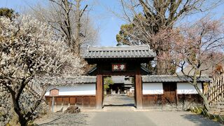 あのフランシスコ・ザビエルも世界に紹介した日本最古の学校