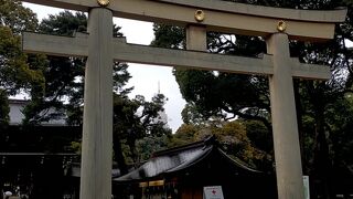 初めて参拝させて頂きました。