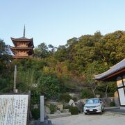 向上寺の裏山