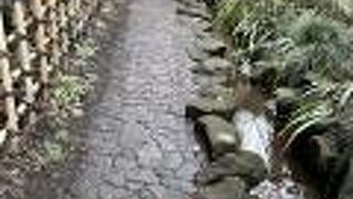 はけの森美術館から