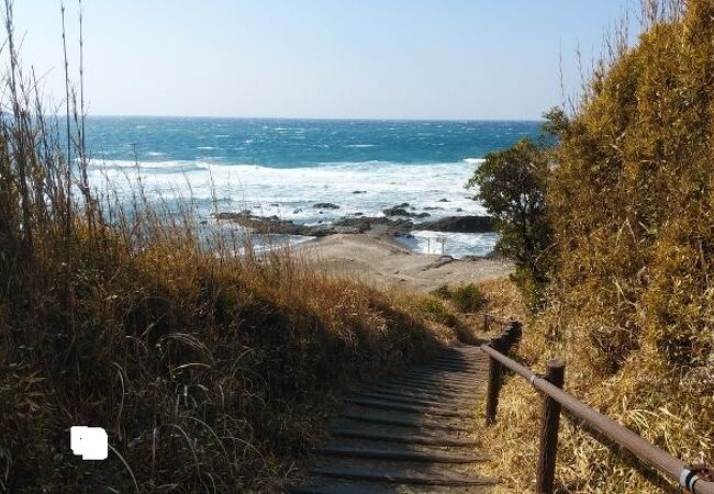横須賀長浜海水浴場 長浜海岸 クチコミ アクセス 営業時間 横須賀 フォートラベル