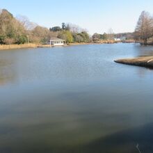 きぬ総合公園