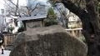 気軽に水辺で遊べる公園