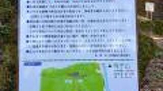 鳥居が建ち並ぶ石段が印象的