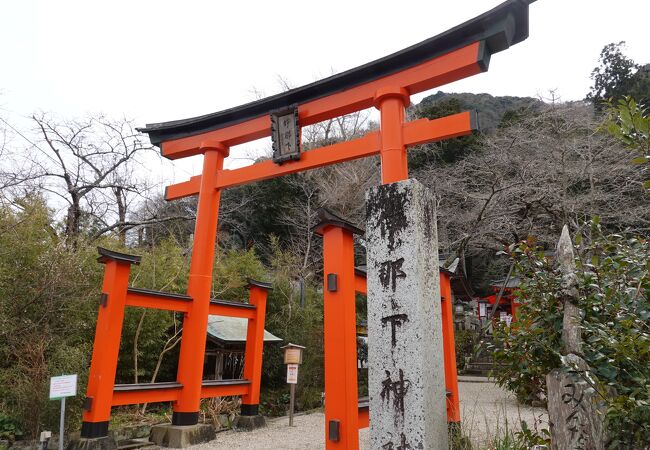 ドラマのロケ地にもなった神社です