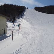 雪質が良かった