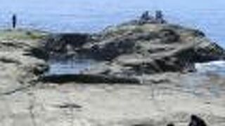 家族で楽しめる、磯釣りの人気スポットでもあります。