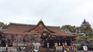 ３月上旬、梅えぇカンヂ。