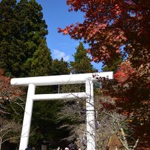 紅葉に包まれる土津神社