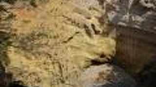 色々な角度から見ることが出来ます