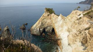 確かに馬に見えます。