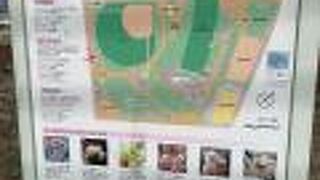 広くて気持ちいい公園です