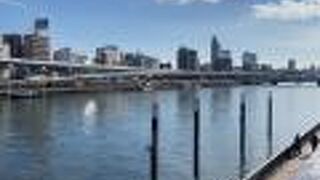 随分綺麗になりました