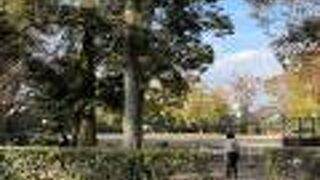 グラウンド広場