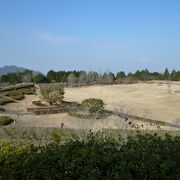 琵琶湖を見下ろす高台にある広々とした緑豊かな公園