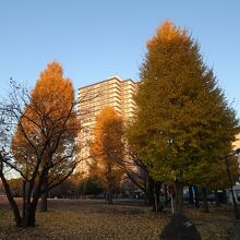 尾久の原公園