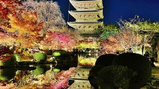 幻想的なライトアップ