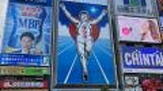 いろいろな角度から見られます