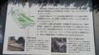 貝塚が発見されたところ