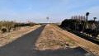 土手は、散歩、ランニング、サイクリングコースで、河川敷は広場やゴルフ場