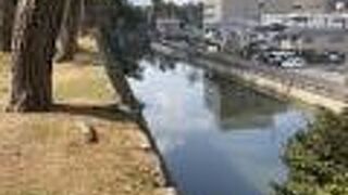 堀の上を歩ける