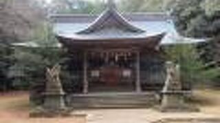 すごい階段です