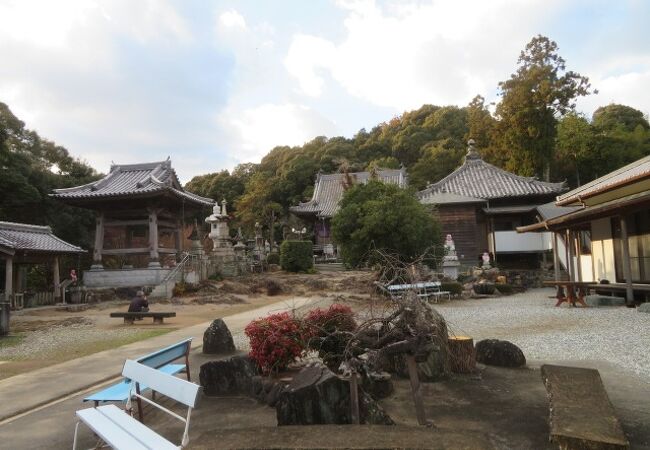 途中の池も綺麗です