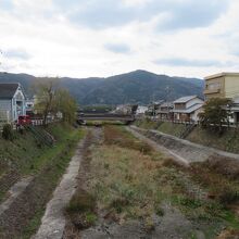 １本だけ見つけました