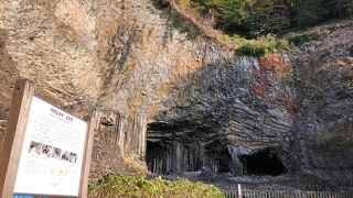 国指定天然記念物！