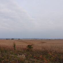 浮島湿原の風景