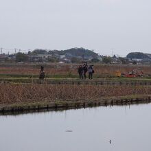 浮島地区の風景