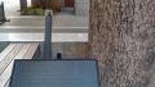 日本橋室町野村ビルの守神のクスノキ