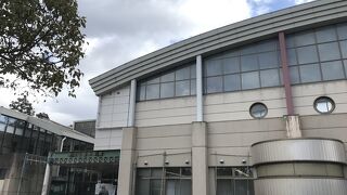 遊歩道もあって散歩におすすめな公園