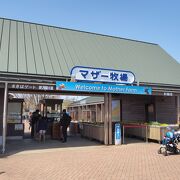 ファミリー向け観光牧場　マザー牧場