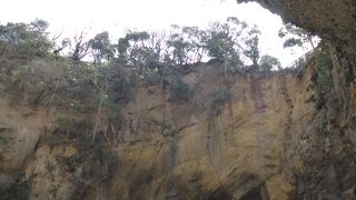 確かにハート型が