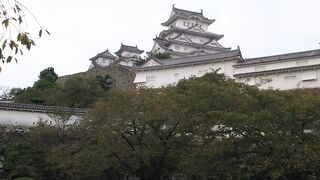 さすが国宝、日本の100名城、ユネスコ世界遺産‥‥素晴らしい！