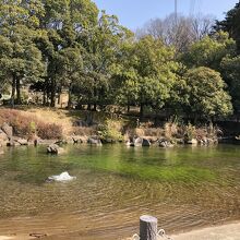 公園入り口にある池