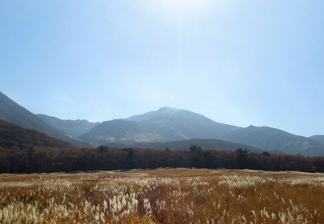 ３つの山の中では山らしい山容でした。