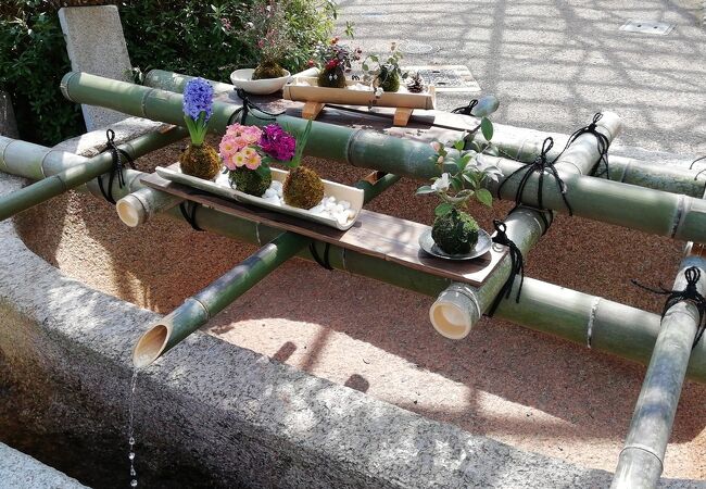 節分大黒天祭 長谷寺 クチコミ・アクセス・営業時間｜桜井・三輪