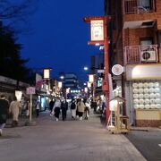 浅草寺へ行くメインの通り。