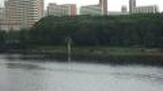 緑豊富な水辺の公園