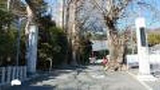 境内に樹齢５００年以上のイチョウやエノキがある寺院