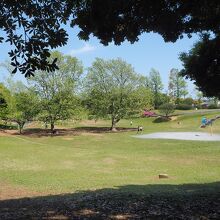 公園内の雰囲気