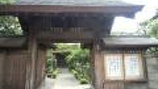 緑多き参道が絵になります