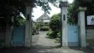 本堂を覆い隠すように横に枝を伸ばした松が印象的