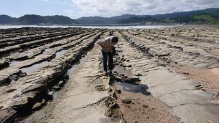 自然ってすごい！