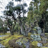 しょうざんリゾートの日本庭園