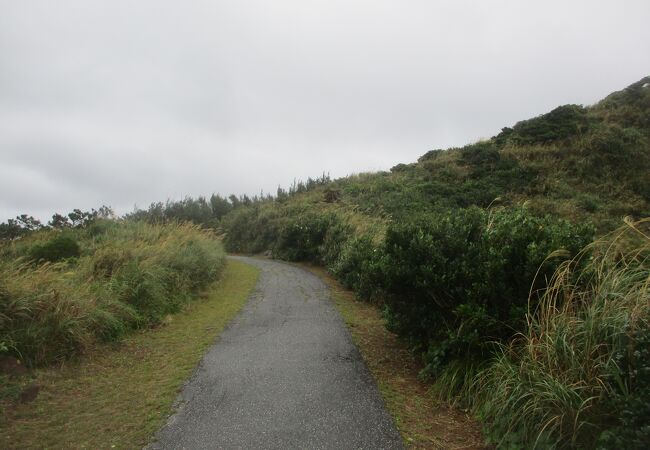 銭田森林公園